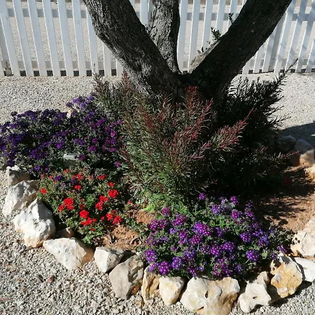 Il Patio Alghero Lägenhet