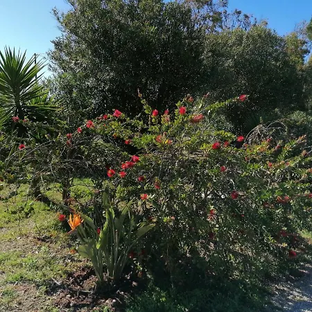 Lägenhet Il Patio Alghero *