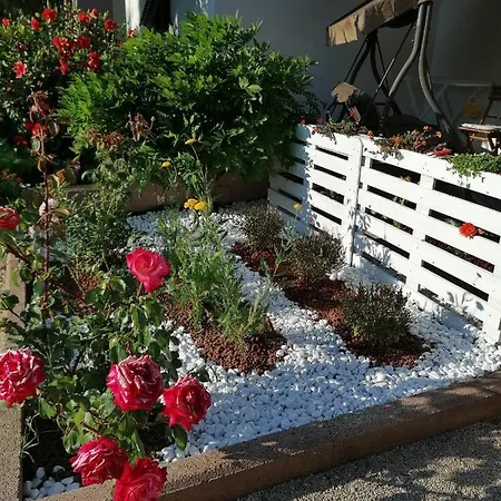 Il Patio Alghero *